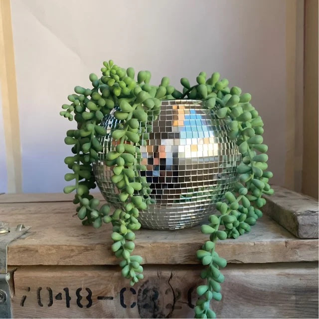 Hanging Disco Ball Pot